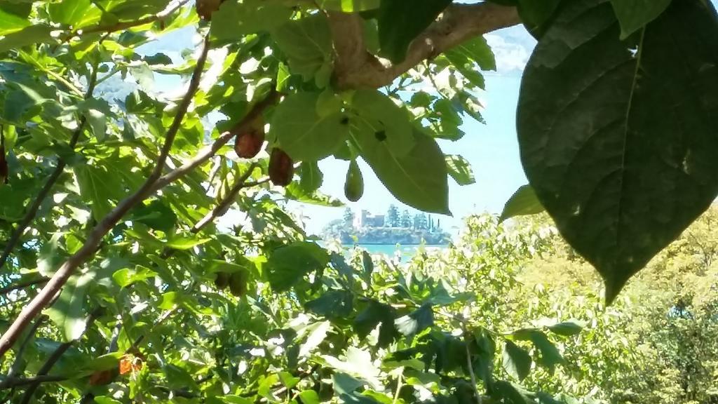 Appartamento Il pozzo Marone Esterno foto